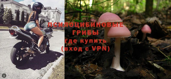 стаф Абинск
