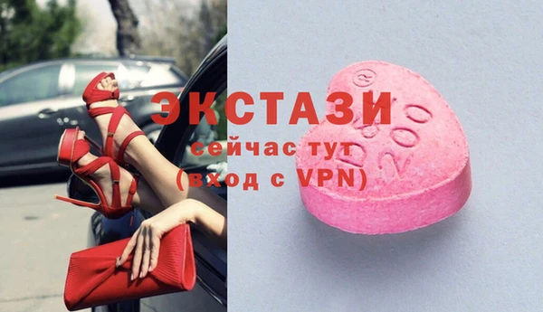 стаф Абинск
