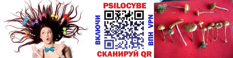 Псилоцибиновые грибы мицелий  Цивильск 